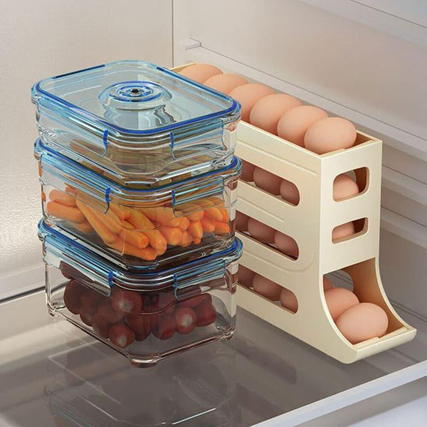 Organizador de Geladeira Porta Ovos Houss