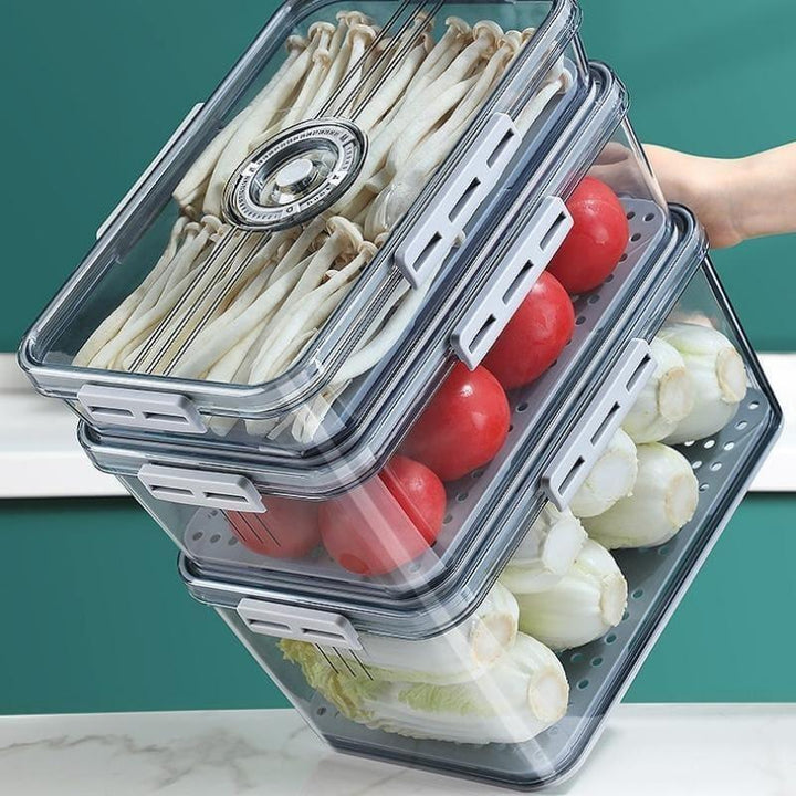 Organizador de Geladeira com Tampa e Marcador de Data Houss