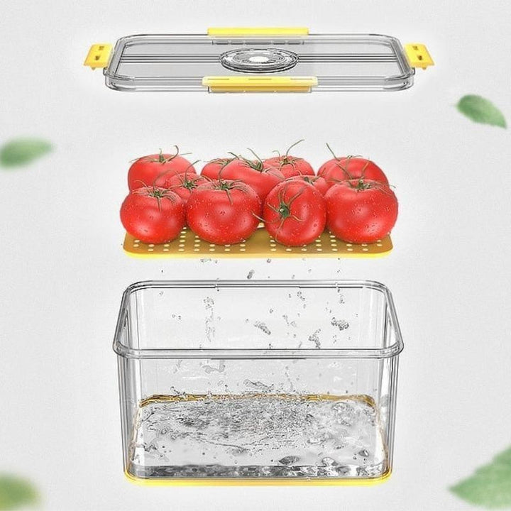 Organizador de Geladeira com Tampa e Marcador de Data Houss